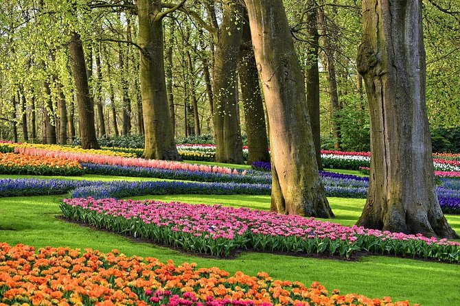 Private Keukenhof, Gardens, Windmills, cheese tour from Amsterdam - Key things to know before you go