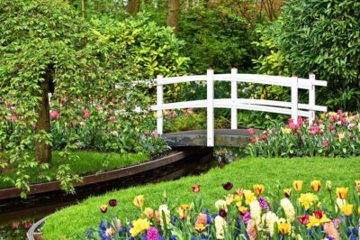 Private Keukenhof, Gardens, Windmills, cheese tour from Amsterdam - Keukenhof gardens with pre-bought tickets and about two hours to wander