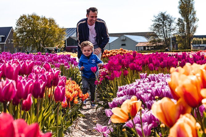 Private Keukenhof, Gardens, Windmills, cheese tour from Amsterdam - Jacobs Hoeve Cheese Farm by Henri Willig: 30 cheeses and a look at the animals