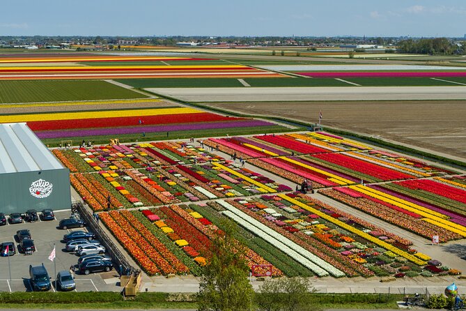 Private Keukenhof, Gardens, Windmills, cheese tour from Amsterdam - Price and value: what you’re paying for (and what you’re not)