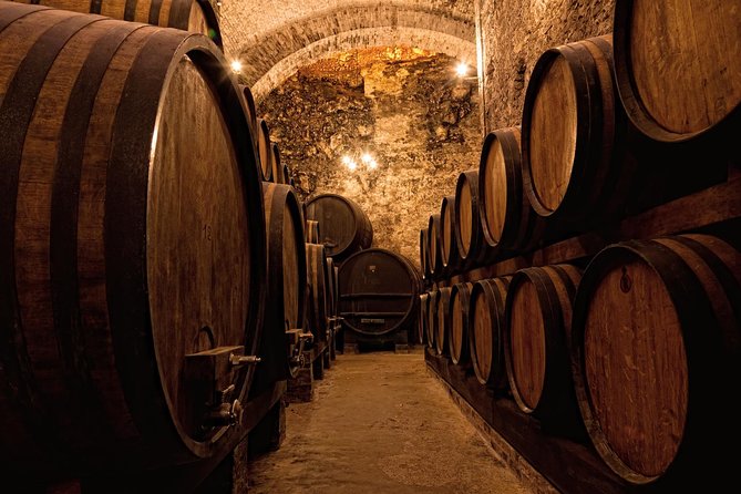 Private Porto Half Day Tour: Port Wine Cellars and Cheese Tasting - Serra do Pilar Miradouro: the view that makes Porto click