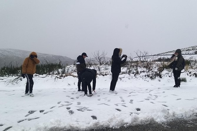 Private Serra da Estrela Gastronomy & Snow Tour from Porto - From Porto at 8am: what a private Serra da Estrela snow-and-food day really feels like