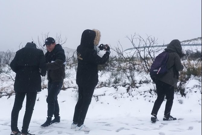Private Serra da Estrela Gastronomy & Snow Tour from Porto - Sabugueiro at 1,200 m: the highest village stop that pushes you to try Serra cheese