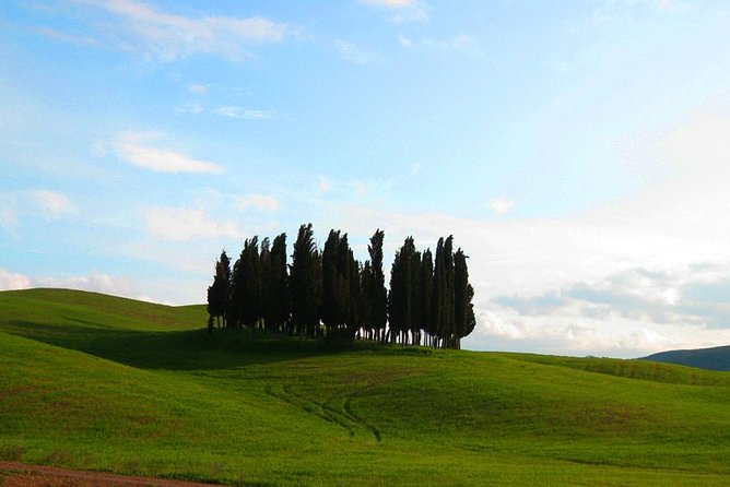 Private Tour: Pienza and Montalcino Organic Cheese and Wine Tour - Pienza first: organic dairy farm, pecorino, and olive oil tasting