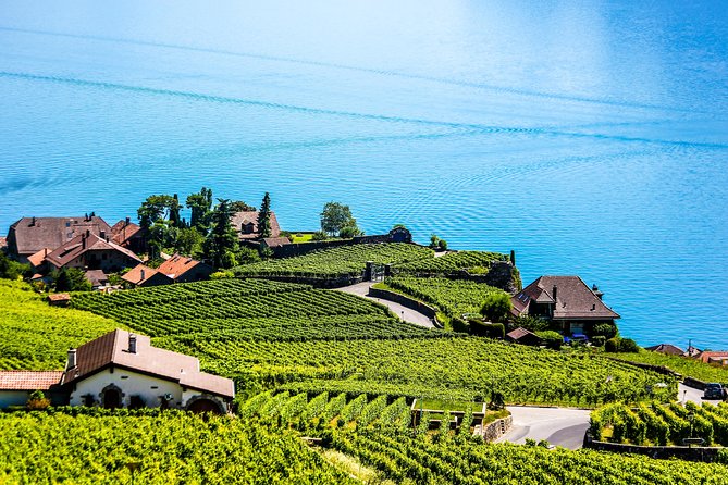 Private Tour to Gruyères, Chocolate & Cheese Factory from Geneva - Lunch, shopping, and keeping your day from running away
