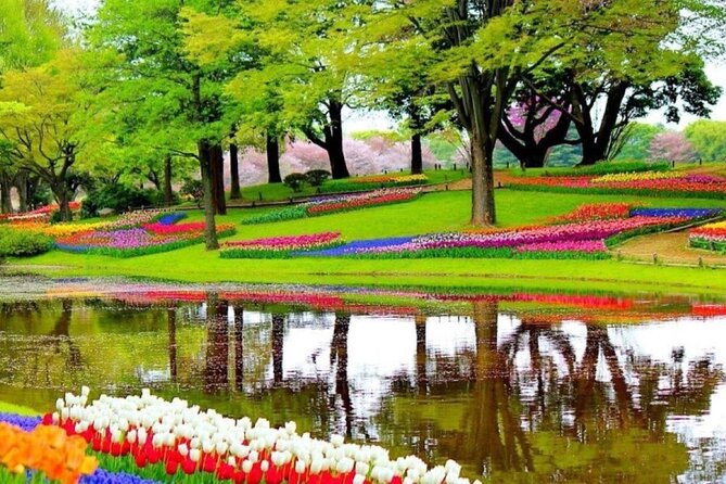 Private Tour to Tulips, Keukenhof, Windmills & Cheese Farm - Keukenhof: walking time in Europe’s big flower park (plus optional boat time)