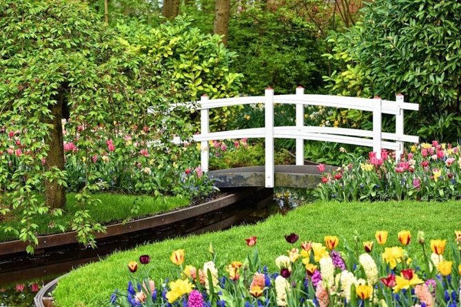 Private Tour to Tulips, Keukenhof, Windmills & Cheese Farm - Jacobs Hoeve by Henri Willig: Gouda explanation, tastings, and cow viewing