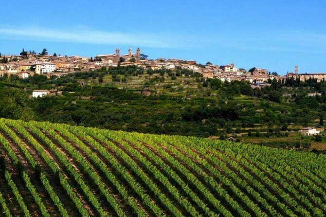 Private tour Wine and cheese a perfect combinations val 'Orcia - Key things you’ll love about this Val d’Orcia food-and-wine day