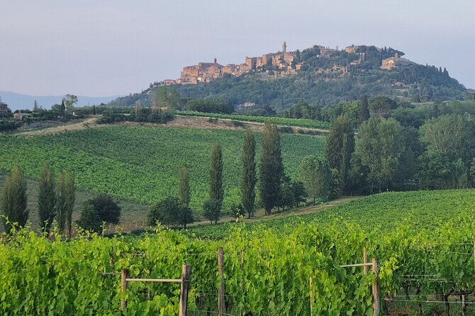 Private tour Wine and cheese a perfect combinations val 'Orcia - Pienza in 30 minutes: Pecorino town plus Pope Paolo II