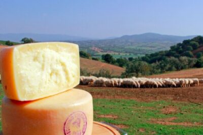 Private tour Wine and cheese a perfect combinations val 'Orcia - 8:00 A.M. pickup and the car-friendly pace