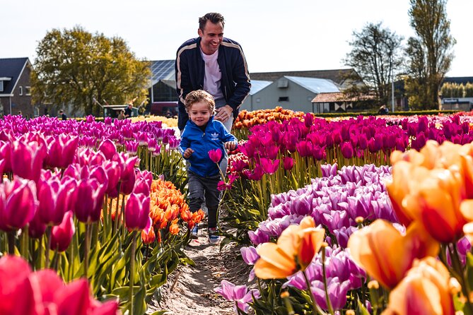 Private Tulip Fields, Windmills and Cheese Tour from Amsterdam - How the pacing really works over 8 hours