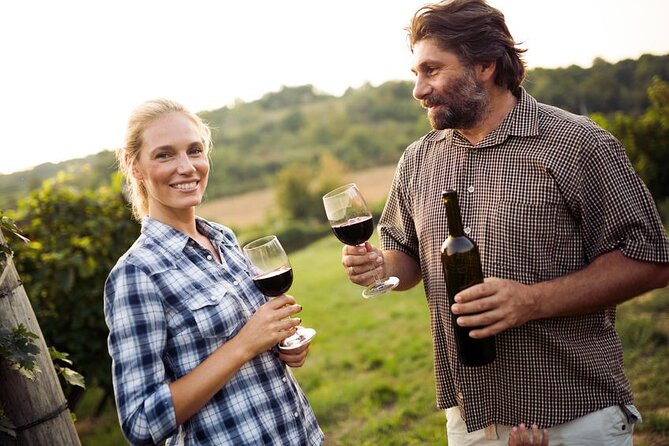 Private Wine Tour in Niagara-on-the-Lake w/ cheese & charcuterie - Between the Lines Winery: winemaker-led vibes and a 5-wine tasting