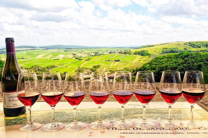 Private wine tour to Sancerre vineyards from Paris with Sommelier - Key things to know before you go