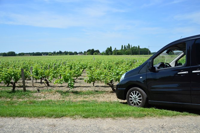 Private wine tour to Sancerre vineyards from Paris with Sommelier - Two winery stops: Sauvignon Blanc and Pinot Noir in context