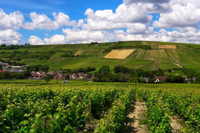 Private wine tour to Sancerre vineyards from Paris with Sommelier - Who this tour fits best (and who should rethink it)