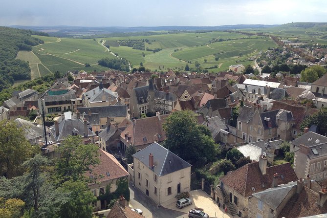 Private wine tour to Sancerre vineyards from Paris with Sommelier - The UNESCO Loire Valley drive: views plus time to settle in