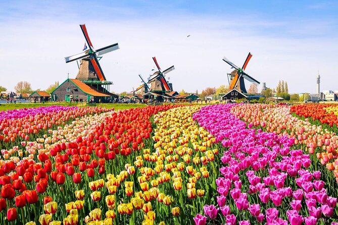 Private Zaanse Schans & Volendam Tour: Windmills, Cheese & Clogs - Cheese farm stop: tasting 30+ kinds without losing your mind