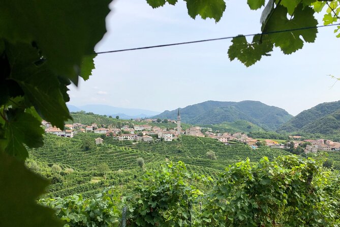 Prosecco Hills Wine and Cheese Gourmet Discovery - Cheese Producer and Museum Time: Four Cheeses Paired With Four Wines