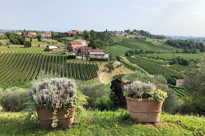 Prosecco Hills Wine and Cheese Gourmet Discovery - Final Prosecco Hills Viewpoint: Short, Scenic, and Photo-Friendly