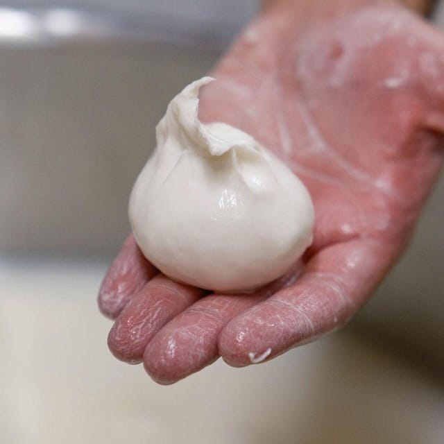 Puglia: Masseria Seppunisi Tour, Cheese, Burrata Tasting - Key Things I’d Highlight Before You Go