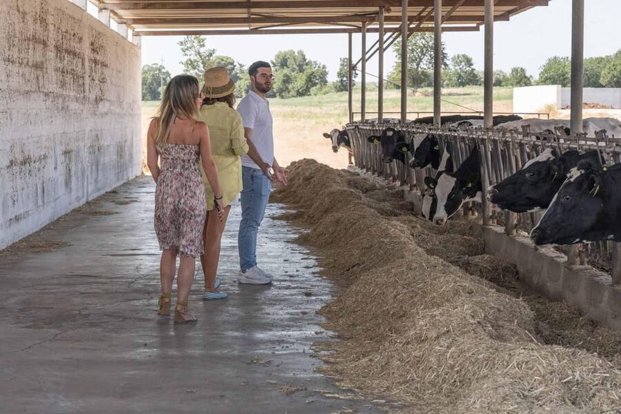 Puglia: Masseria Seppunisi Tour, Cheese, Burrata Tasting - Masseria Seppunisi: The Kind of Farm Visit You Can Taste