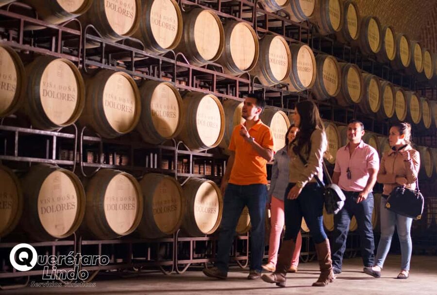 Querétaro: Art, Cheese and Wine Route - Key things you’ll enjoy on this Querétaro route