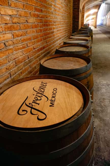 Querétaro: Art, Cheese and Wine Route - Freixenet México at the Doña Dolores estate: wine in a real cellar setting