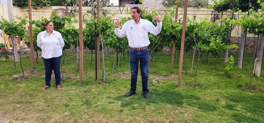 Querétaro: Bernal & Tequisquiapan Trip with Wine & Cheese - Tequisquiapan’s historic center: guided context plus breathing room