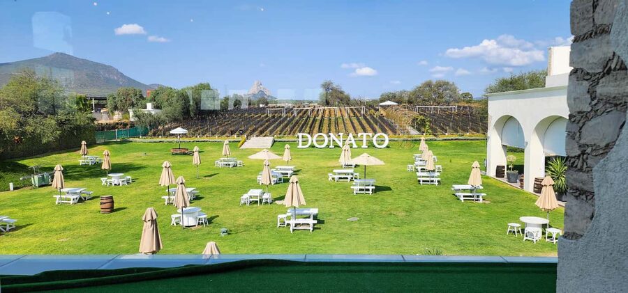 Querétaro: Bernal & Tequisquiapan Trip with Wine & Cheese - Price and value: what $169 gets you (and what it doesn’t)