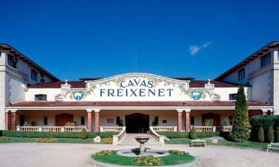 Querétaro: Cheese and Wine Tasting Tour - Key Points at a Glance