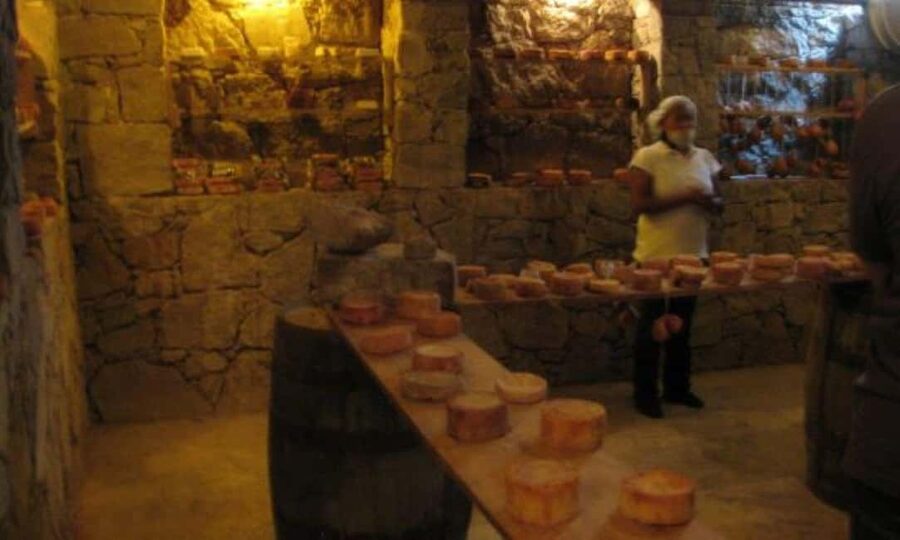 Querétaro: Cheese and Wine Tasting Tour - Cheese and Wine Tastings: What You’re Really Buying With Your Time