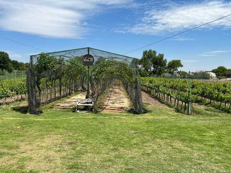 Querétaro: Cheese & Wine Tour In A Day - Who Should Book This Querétaro Cheese & Wine Tour