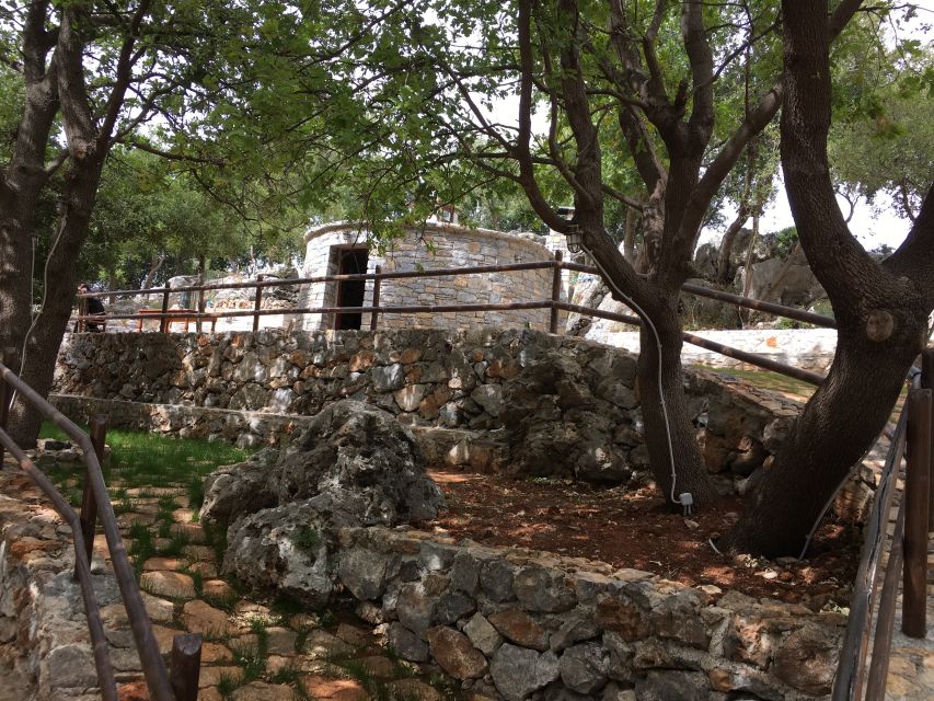 Rethymno 4x4 Safari: Tastes & Farm Experience - Melidoni Olive Oil Mill: from tree to bottle, with real tasting