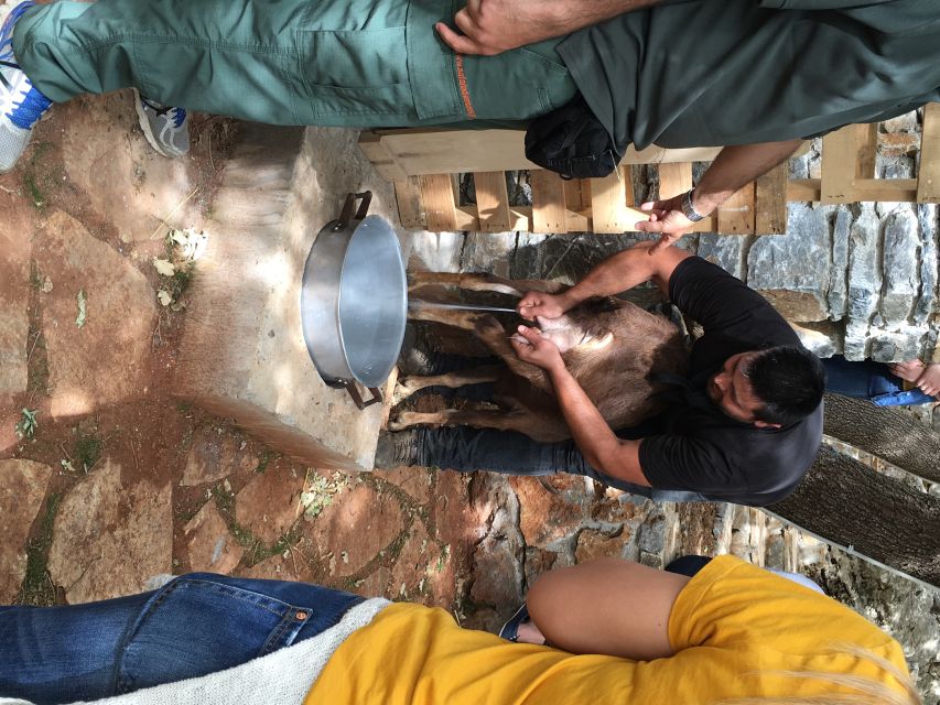 Rethymno 4x4 Safari: Tastes & Farm Experience - Klados Winery in Panormos: a hands-on look at indigenous wine
