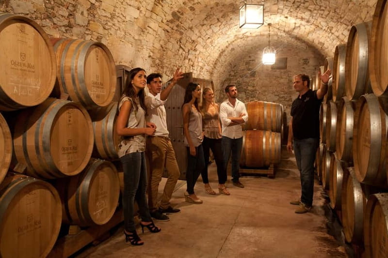 Rías Baixas Albariño Experience: Winery Visit & Cheese - Key Highlights You’ll Care About