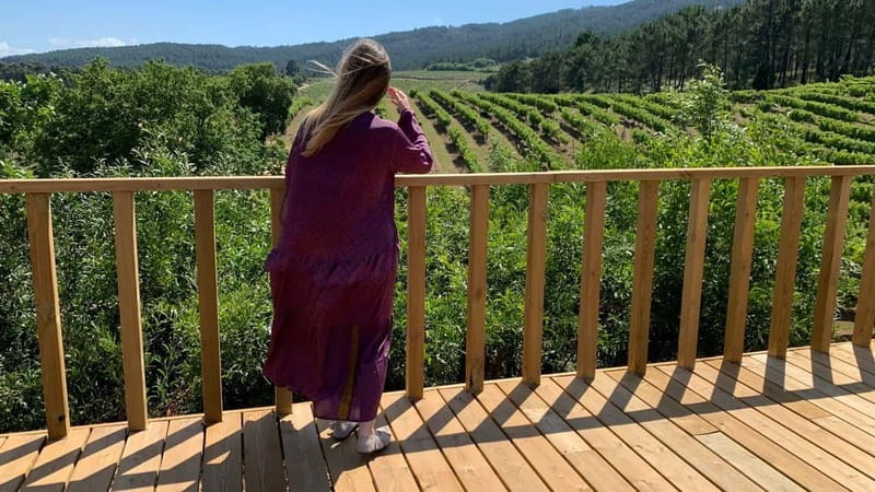 Rías Baixas Albariño Experience: Winery Visit & Cheese - Why O Rosal Valley Albariño Feels Different