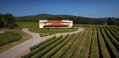 Rías Baixas Albariño Experience: Winery Visit & Cheese - The 1.5-Hour Plan: Vineyards to Tasting Table