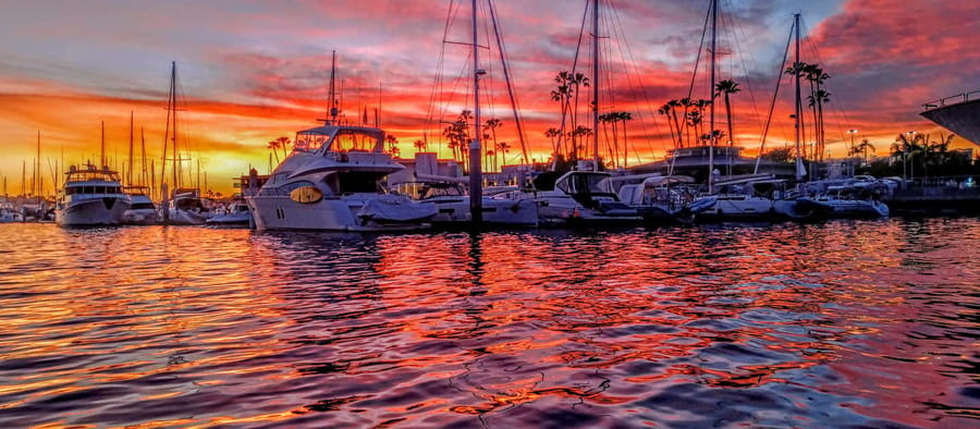 Romantic Boat Cruise with Wine & Cheese or Surprise Dinner - Sailing through Marina del Rey: what you’ll see while staying in the moment