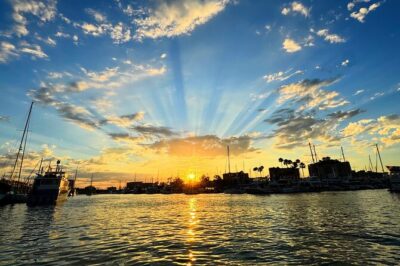 Romantic Luxury Boat Cruise with Wine Cheese Sea LionTours - The “romantic luxury” feeling: calm marina water + real wildlife