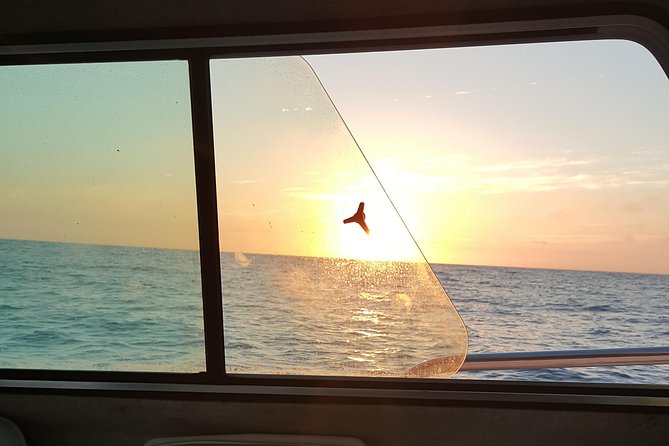 Romantic Wine and Cheese Boat Tower Cruise - On board: the observation tower and how the 360° views work