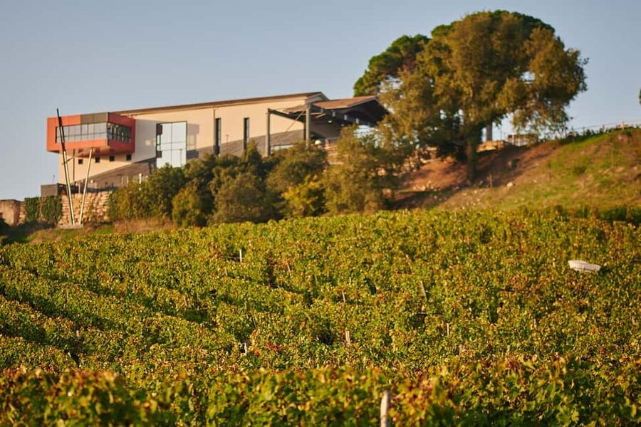 Saint-Emilion: Grand Cru Classé Cheese & Charcuterie Visit - Key highlights worth planning for