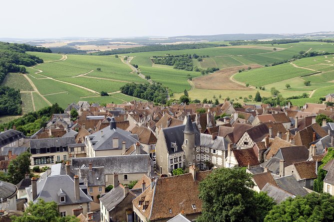 Sancerre & Pouilly-Fumé Wine Tour Goats' cheese tasting - Key highlights you’ll feel immediately