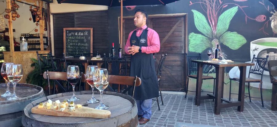 Santiago de Querétaro: Pueblos Mágicos Cheese and Wine Route - Logistics that can make or break your day