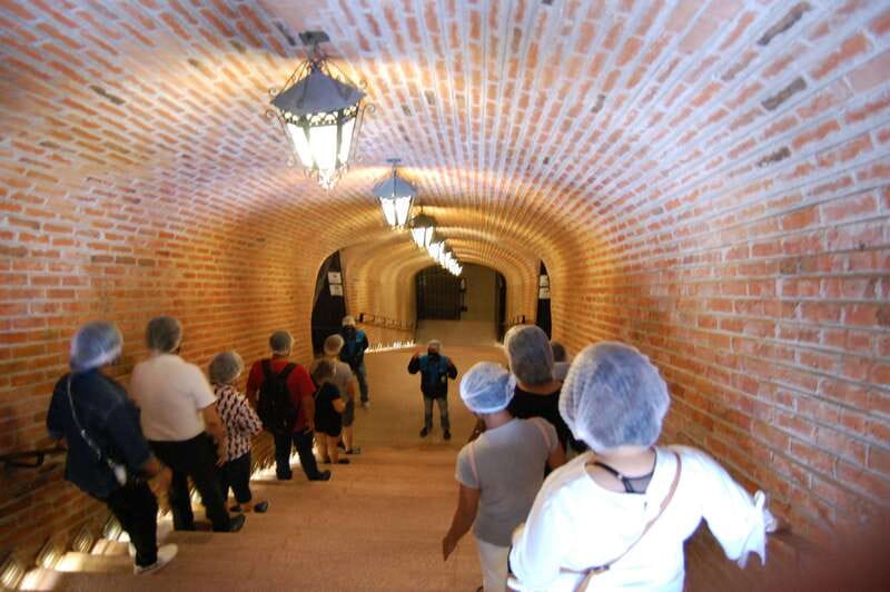 Santiago de Querétaro: Pueblos Mágicos Cheese and Wine Route - Cheese and wine tasting: 14 cheeses, two pours, and a sommelier