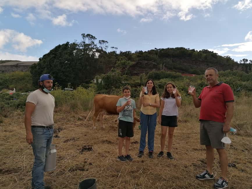 Sao Jorge Cheese Tour - Half day - What’s Included (and What Isn’t)