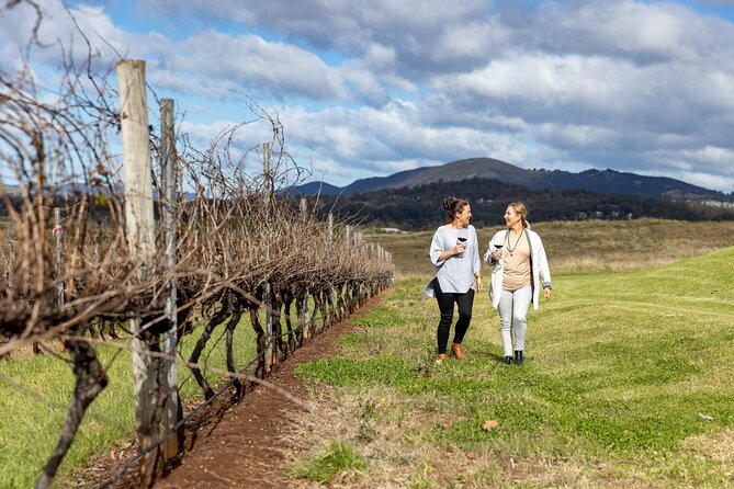 Scenic Hunter Valley Tour with Wine and Cheese Tastings - Morning Pickup in Sydney: Harbour Bridge Views and a Real Start Time