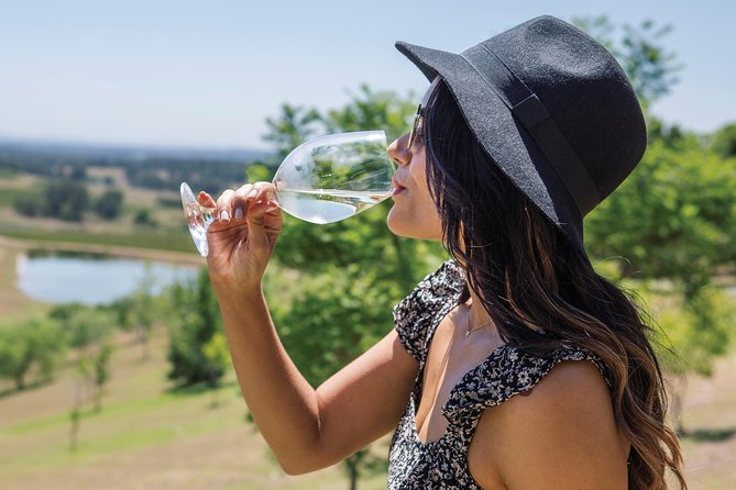 Scenic Hunter Valley Tour with Wine and Cheese Tastings - Comfort on the Road: Luxury Minibus, Live Commentary, and Breaks