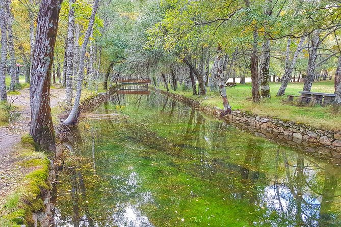 Serra da Estrela - Half-day off-road tour with cheese tasting - Off-Road 4x4 in Serra da Estrela: What You’re Booking in Real Life