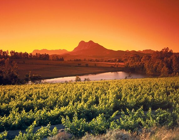 Shared Tour To The Wineries Stellenbosch Paarl + Cheese Tasting from Cape Town - Key highlights worth your time