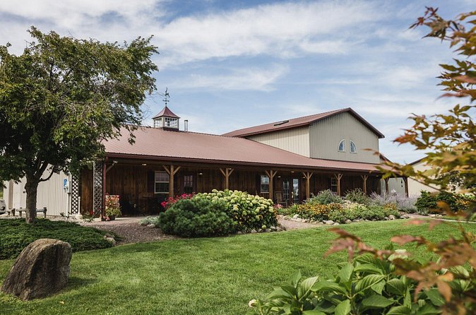 Shared Wine, Chocolate and Cheese Tasting in Conesus Lake - Cheese Pairings: How Conesus White and Runway Red Change Once You Add Bite-Sized Samples